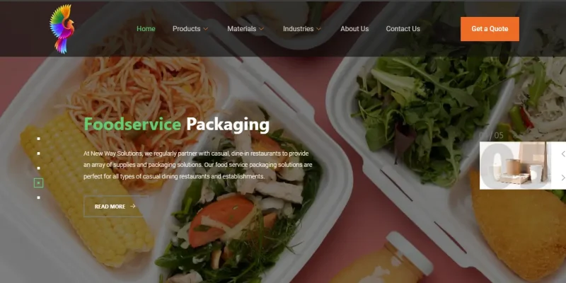 New Ways Solutions Website View Port Capture
